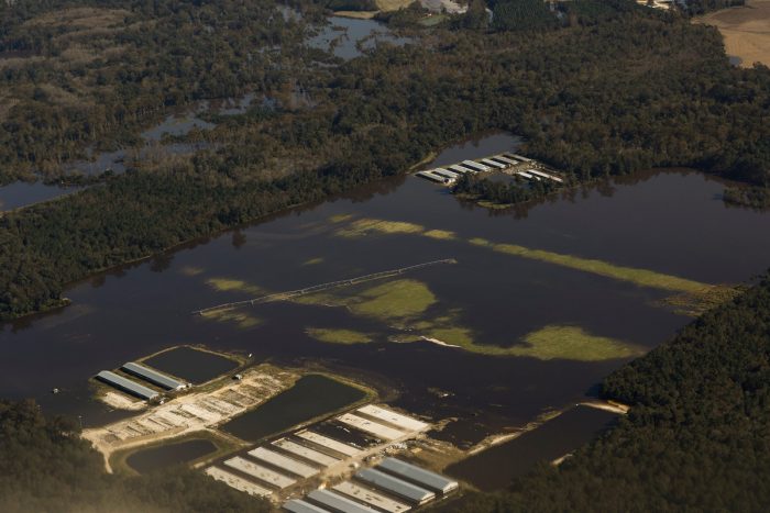 North Carolina swine facilities flooded during Hurricane Matthew. (Photo by Rick Dove of the Waterkeeper Alliance.)