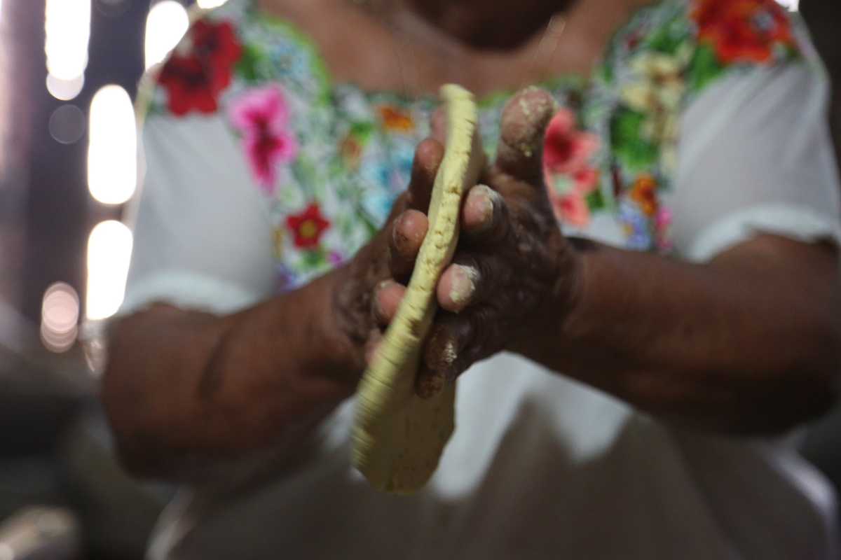 Antonia Chulim Noh making tortillas by hand in Kahua, Yucatan. The corn is from her own milpa.