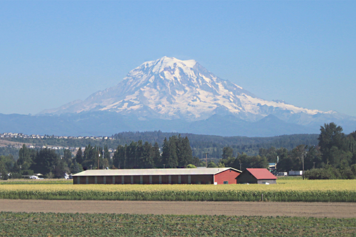 Mount Rainier and a farm in the foreground