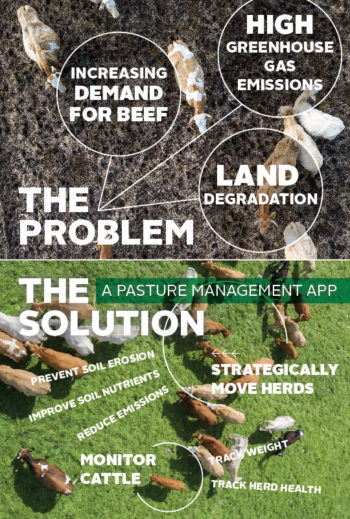 Infographic courtesy of Pasturemap