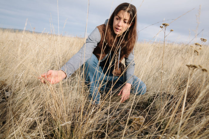 Cory Carman examining the grasses on her ranch. (photo © Nolan Calisch)