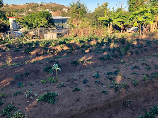  The beds, “Banks of life,’ are designed to retain as much water as possible. (Photo © Sarah Sax)