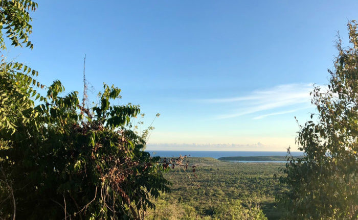 The view of the Caribbean ocean from the top of Finca Conciencia. (Photo © Sarah Sax)