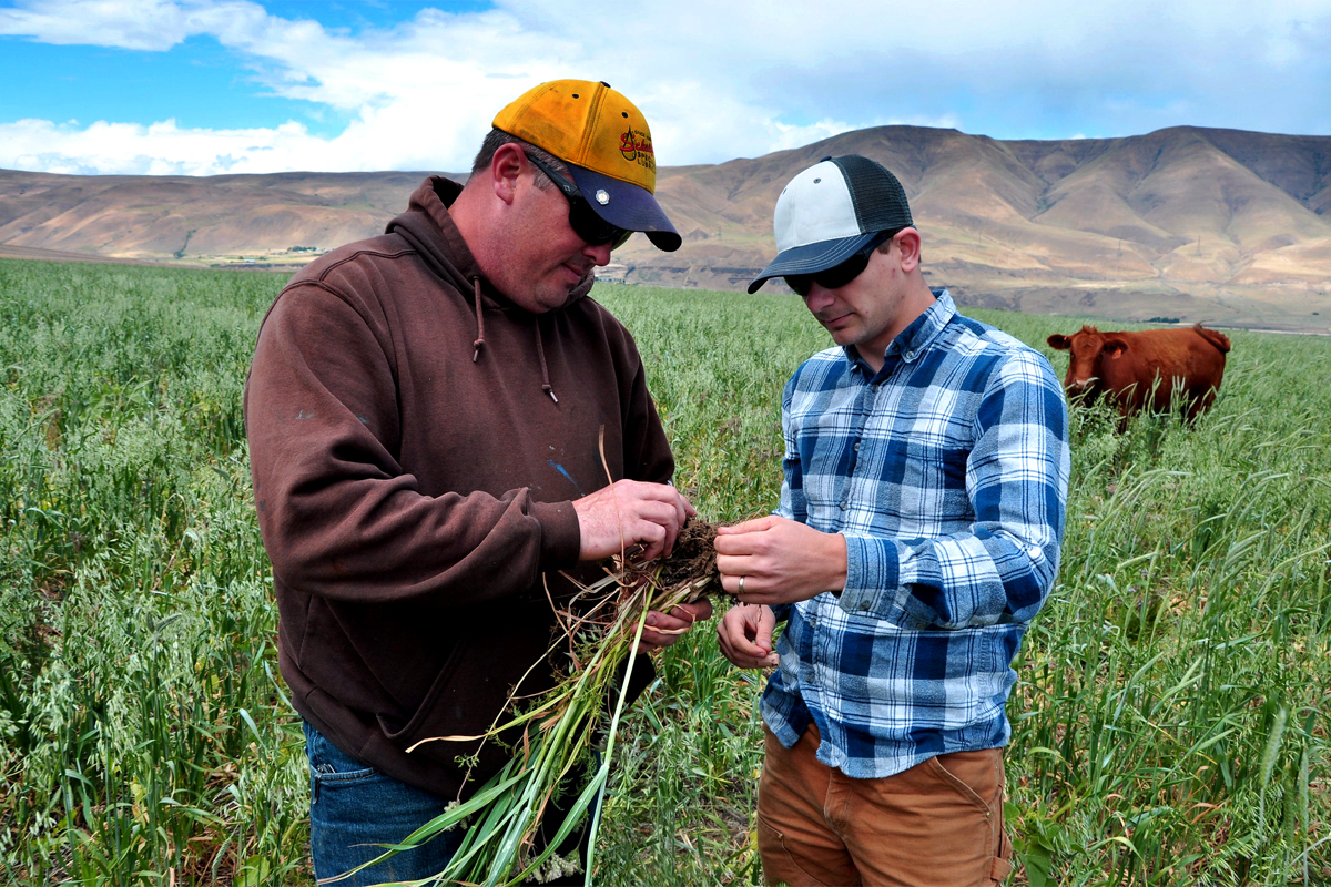 Oregon farmer Noah Williams works with the USDA NRCS to build healthier soil on his farm. (Photo CC-licensed by NRCS Oregon