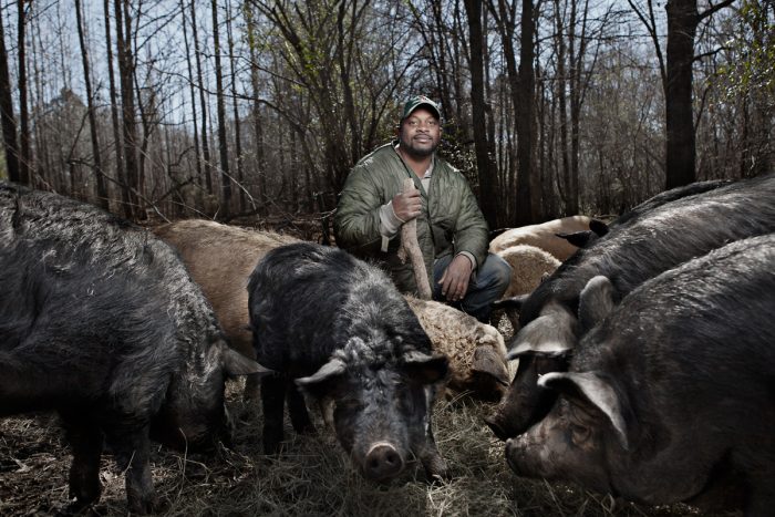 Jon Jackson with some of his hogs. (Photo © Carlisle Kellam)