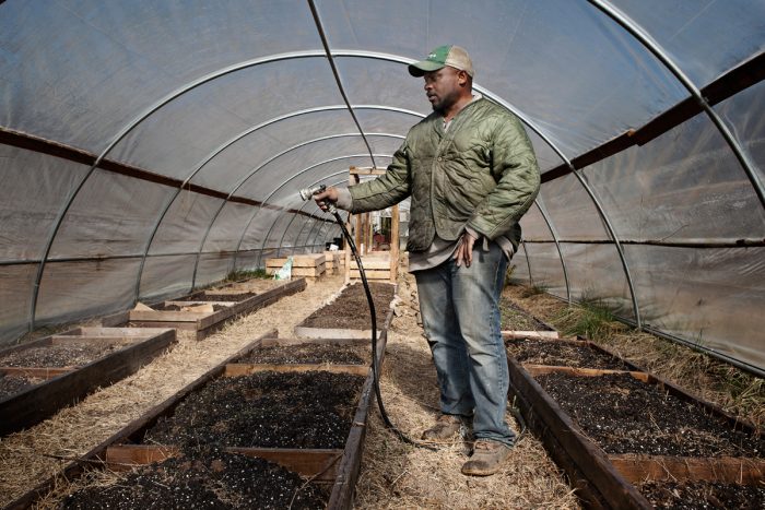 Jon Jackson watering seeds in his high tunnel.