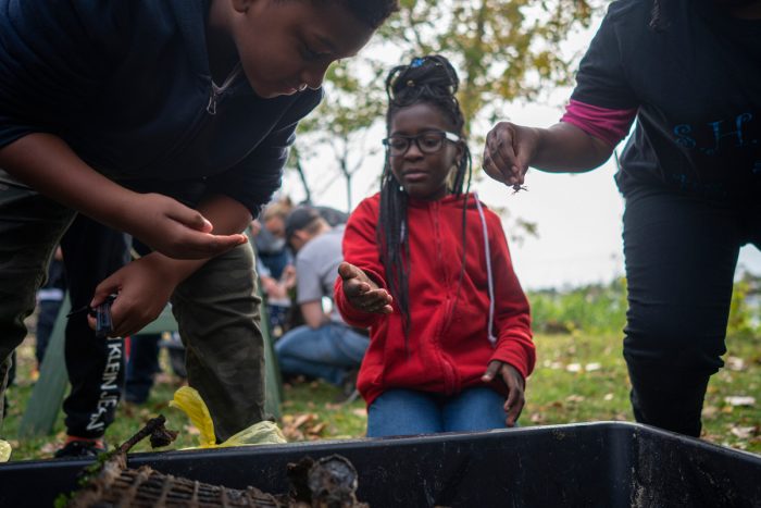 Oyster reefs form the foundation for a vast ecosystem in the waters that they filter. Contained within them live small fish and crabs which become food for larger fish and birds above them. Throughout the day the children would shriek and exclaim with excitement when they discovered a new lifeform.