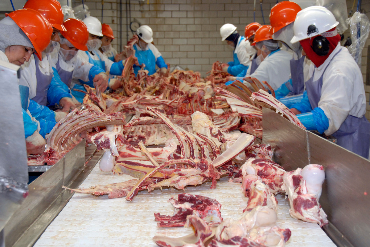 Beef slaughterhouse workers at a meatpacking plant in Texas. USDA photo by Alice Welch.