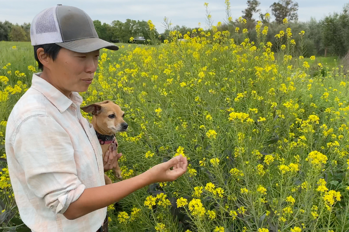 kristyn leach explaining seed saving with her mustard plants.