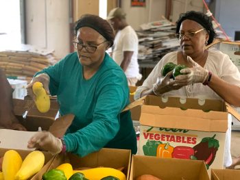 Workers packing produce for delivery. (Photo courtesy of the Federation of Southern Co-ops)