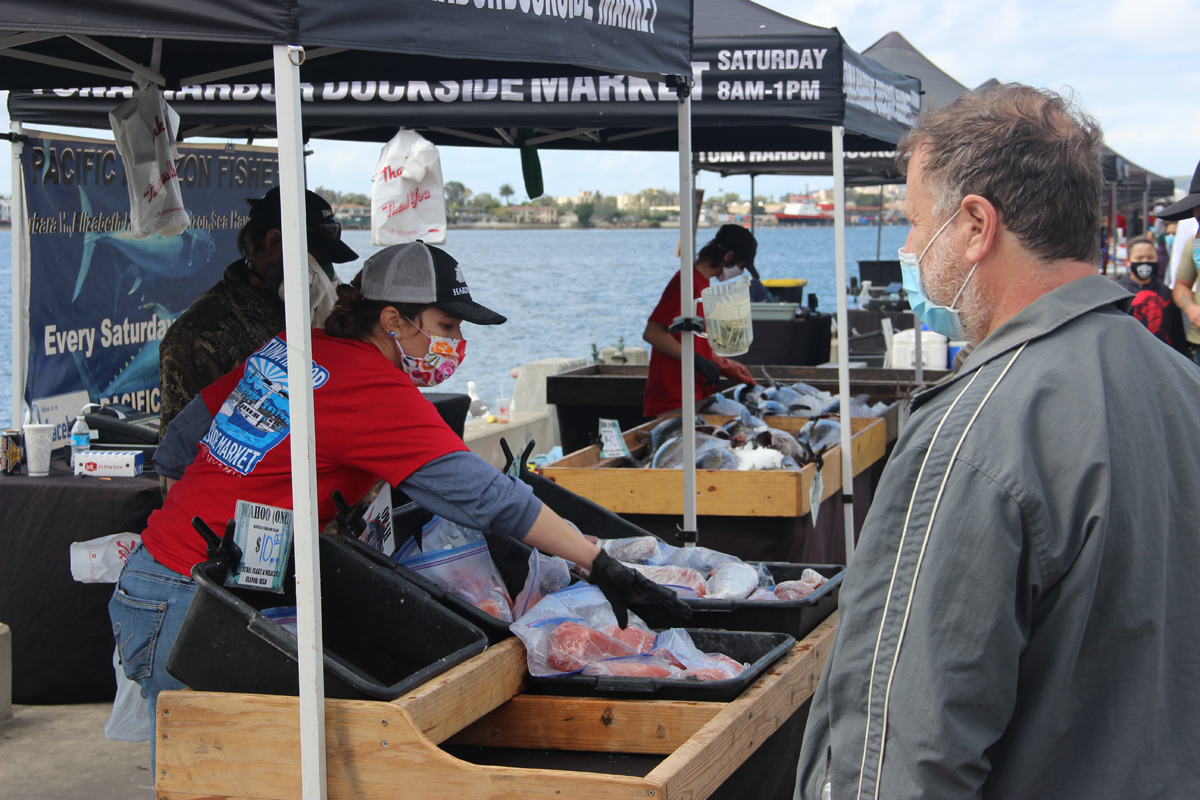 Freshly caught fish for sale at the Dockside Harbor market. (Photo by Mark Armao)