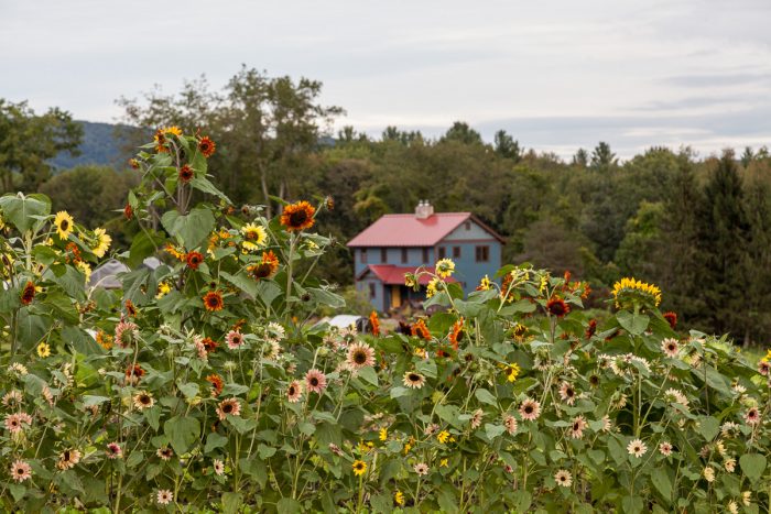 The Salinetti home on original land of the Stockbridge Munsee people of the Mohican Nation.