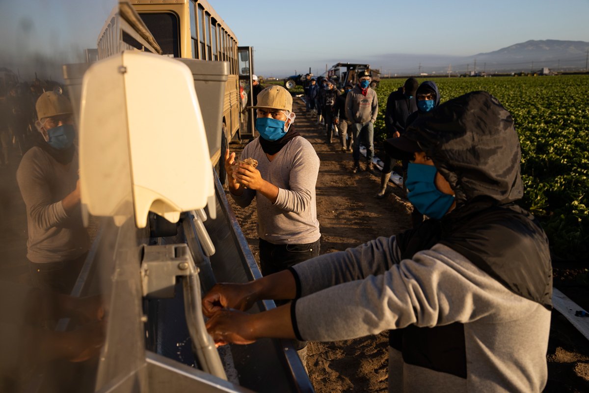 farmworkers wash hands in the fields to try to prevent the spread of coronavirus