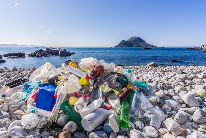 Litter collected on a remote shoreline in northern Norway. (Photo CC-licensed by Bo-Eide)