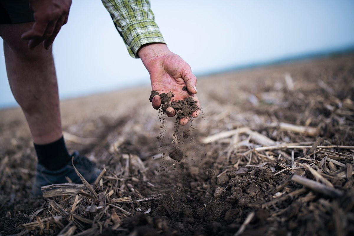 A hand holding healthy soil from a regenerative agriculture operation. Gonna trade those carbon credits on the carbon market...