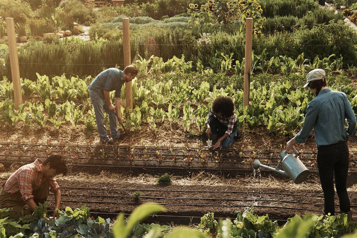 young farmers working on their regenerative agriculture field to sequester carbon dioxide and reduce their emissions