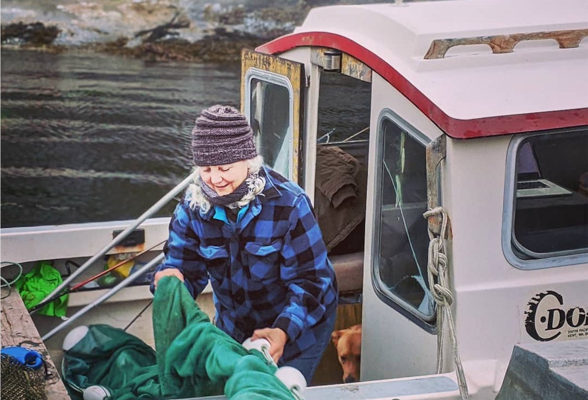 Alexandra Morton bringing in nets in the the Broughton Archipelago, in British Columbia. (Photo courtesy of Alexandra Morton, Salmon Coast Field Station)