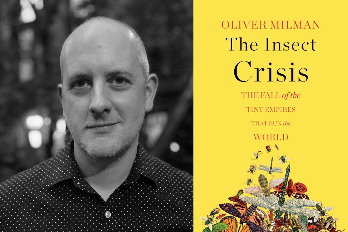 journalist oliver milman and the cover of his new book, the insect crisis