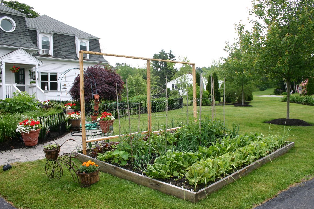 A home garden in Maine. (Photo CC-licensed by the National Garden Clubs)