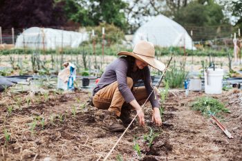 Farmer Caiti Hachmyer plants dry corn at Red-H Farm in Sebastopol, California. (Photo credit: Brooke Porter Photography)