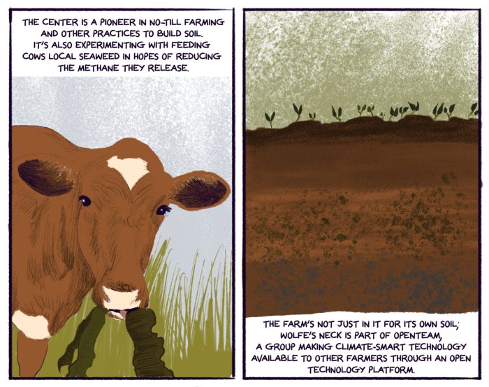 the center is a pioneer in soil health, no till farming, and in building technology that makes monitoring soil easier. they’re also experimenting with feeding cows local seaweed in the hopes of reducing the release of harmful methane gases (Illustration by Nhatt Nichols) The farm’s not just in it for its own soil; Wolfe’s Neck is part of OpenTEAM, a group making climate-smart technology available to other farmers through an open technology platform. (Illustration by Nhatt Nichols)