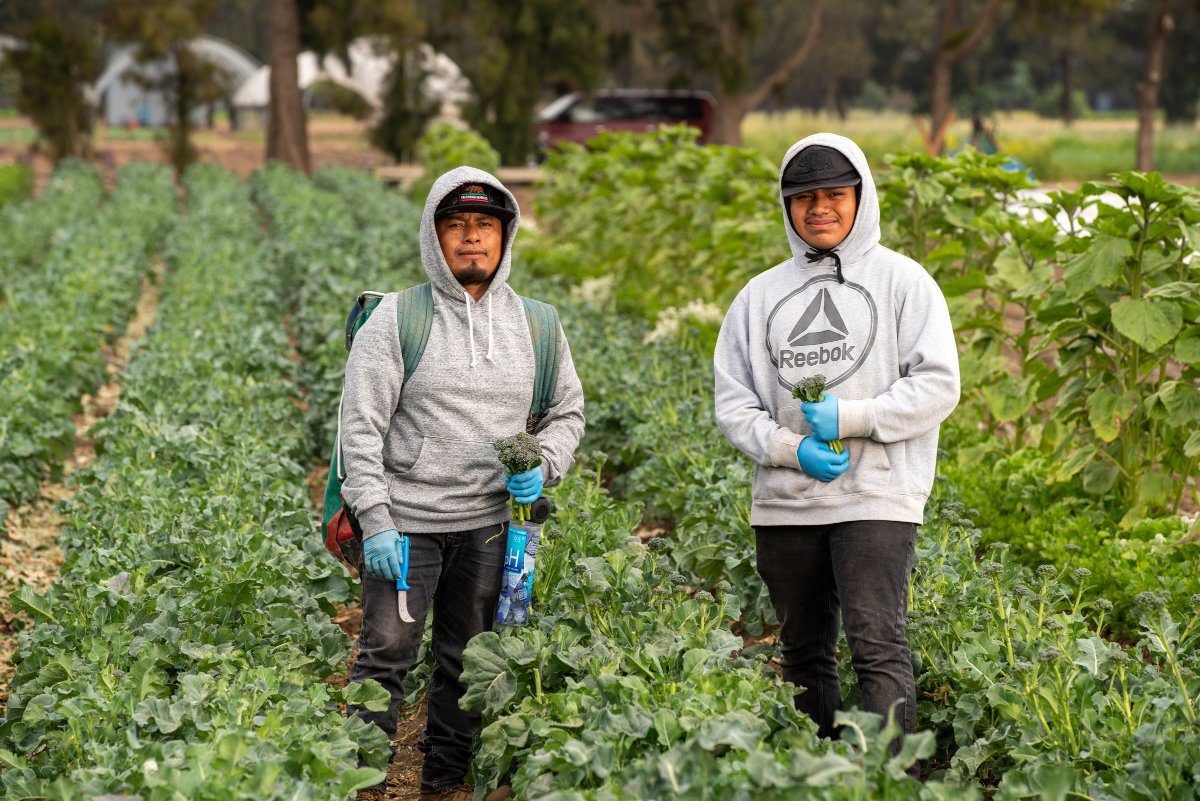 A father-son duo of farmers posing in their fields. (Photo courtesy of ALBA)