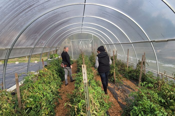 Johanna Willingham (left), who manages Georgia FarmLink on behalf of ALT, and Jean Young (right), the first incubator farmer at ALT’s Williams Farm Incubator Program, walk the greenhouse at Williams Farm. (Photo credit: Oisakhose Aghomo)