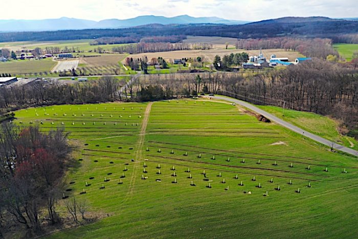 agroforestry in Hudson NY.