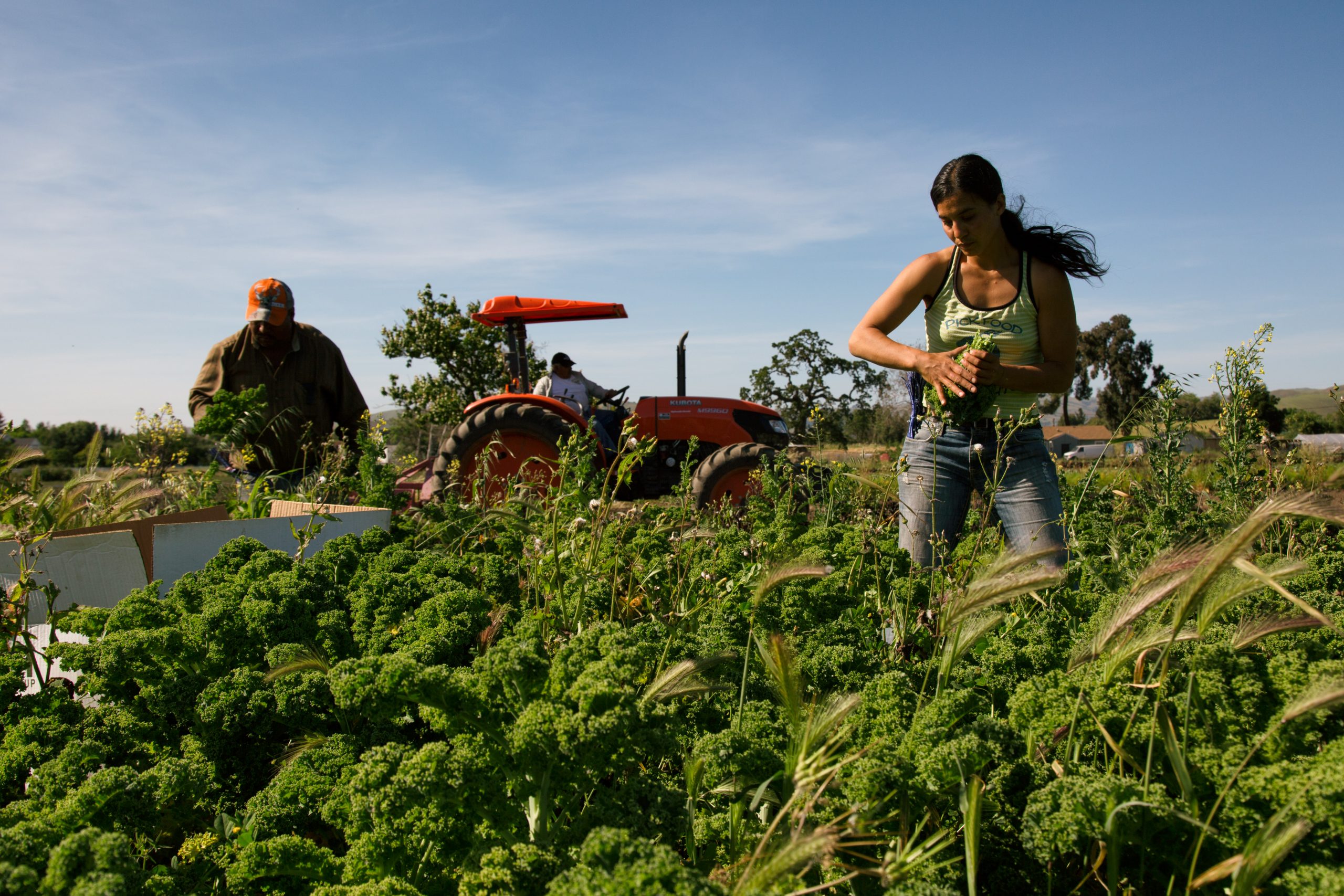 Marsha Habib working in a farm field