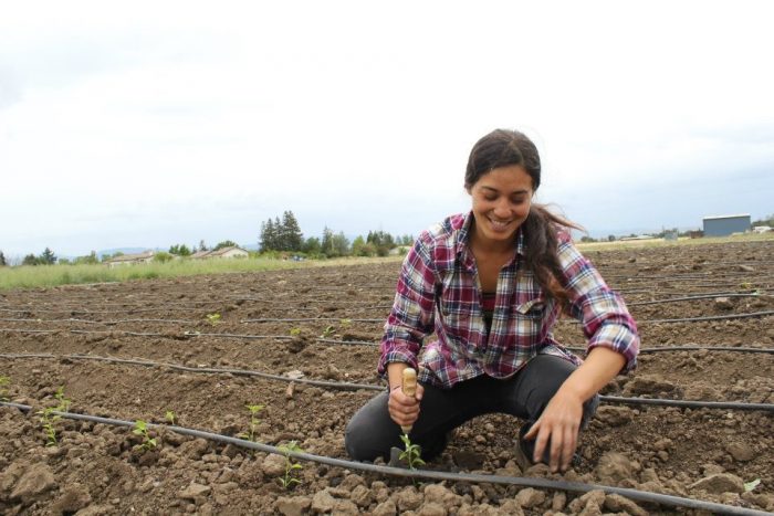 Marsha Habib tending crops in the field.