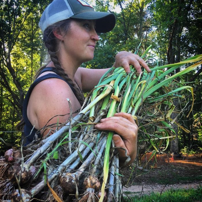 Hillary Kimmel harvesting garlic. (Photo courtesy of Hillary Kimmel / Pine Trough Branch Farm.)