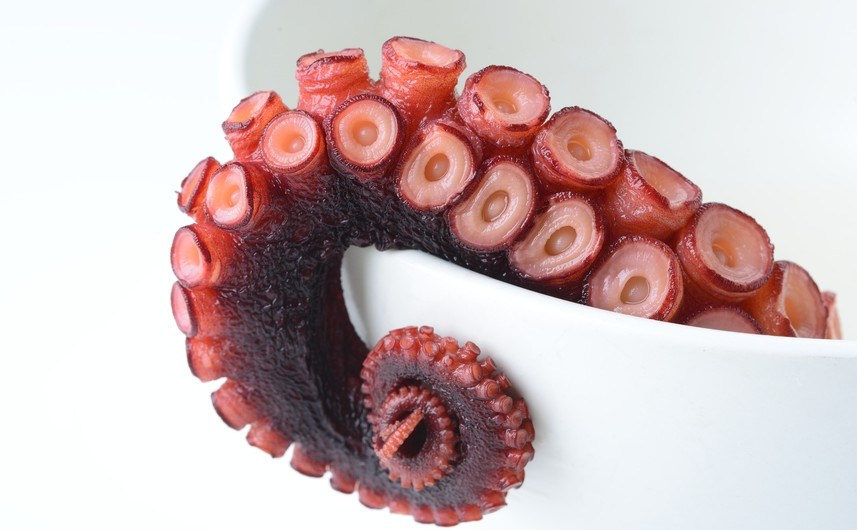 seafood octopus