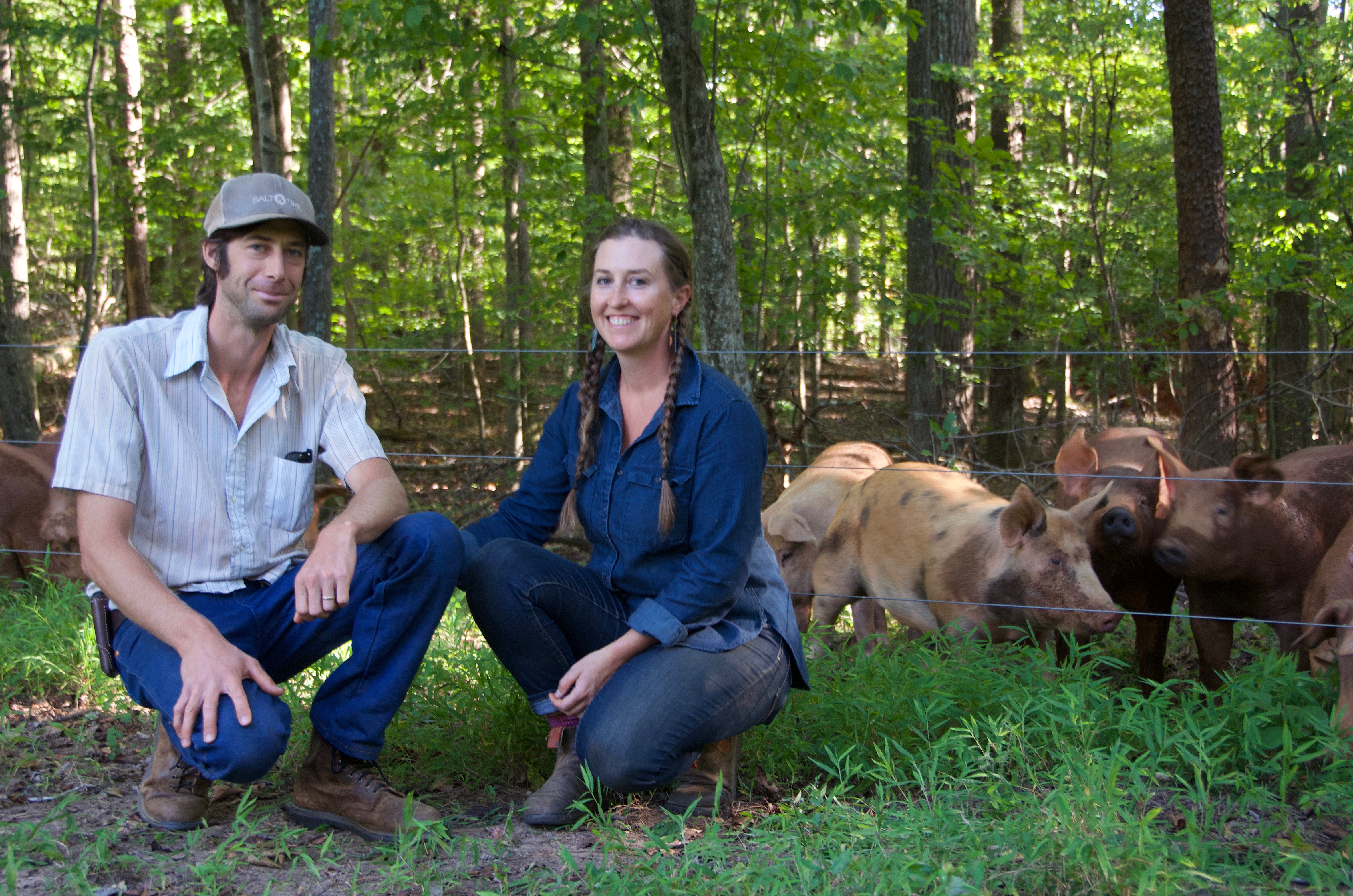 Worth and Hillary Kimmel with their foraging pigs.